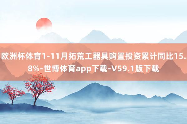 欧洲杯体育1-11月拓荒工器具购置投资累计同比15.8%-世博体育app下载-V59.1版下载