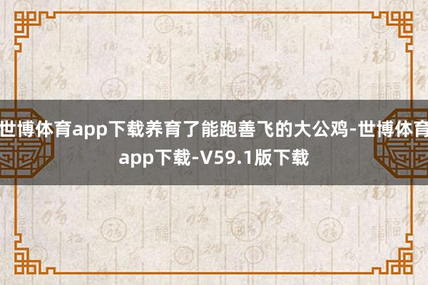 世博体育app下载养育了能跑善飞的大公鸡-世博体育app下载-V59.1版下载