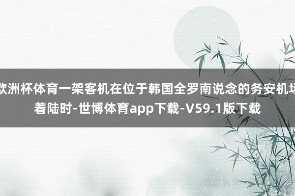 欧洲杯体育一架客机在位于韩国全罗南说念的务安机场着陆时-世博体育app下载-V59.1版下载